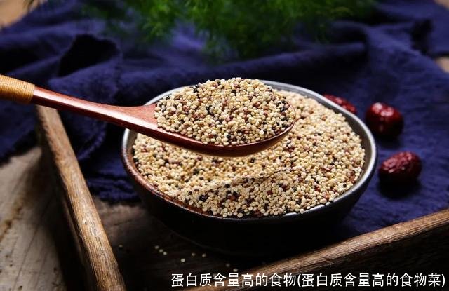 蛋白质含量高的食物(蛋白质含量高的食物菜)