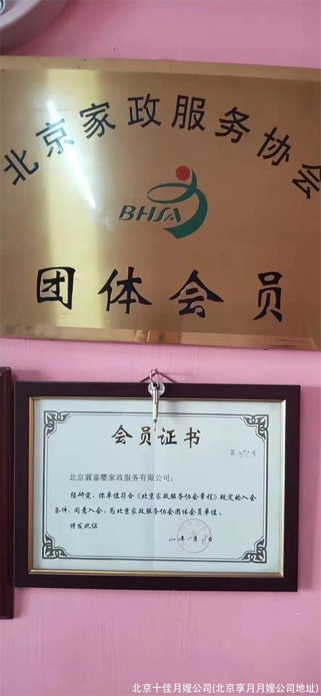 北京十佳月嫂公司(北京享月月嫂公司地址)