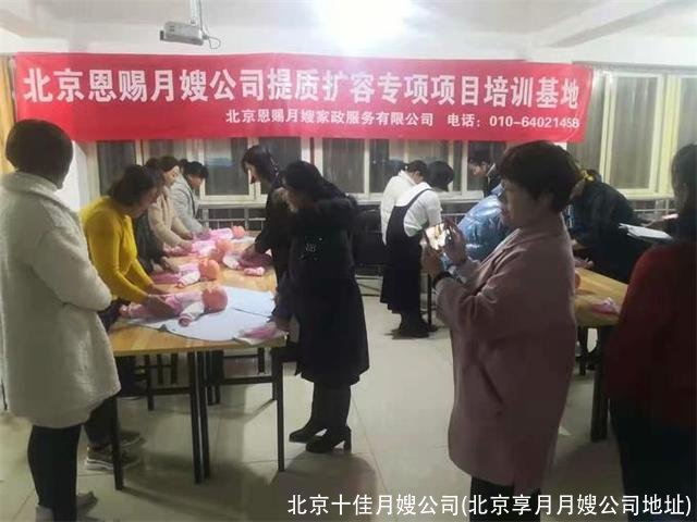 北京十佳月嫂公司(北京享月月嫂公司地址)