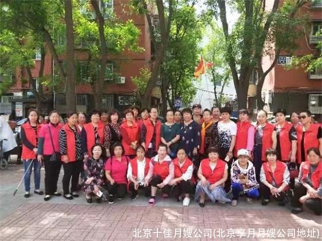 北京十佳月嫂公司(北京享月月嫂公司地址)