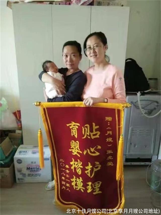 北京十佳月嫂公司(北京享月月嫂公司地址)
