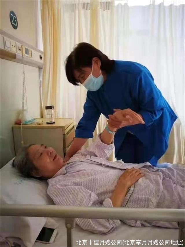 北京十佳月嫂公司(北京享月月嫂公司地址)