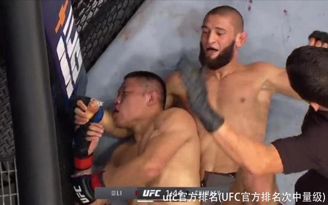ufc官方排名(UFC官方排名次中量级)
