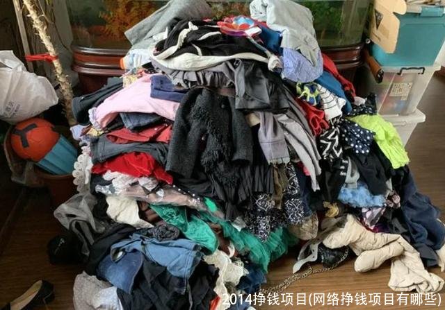 2014挣钱项目(网络挣钱项目有哪些)