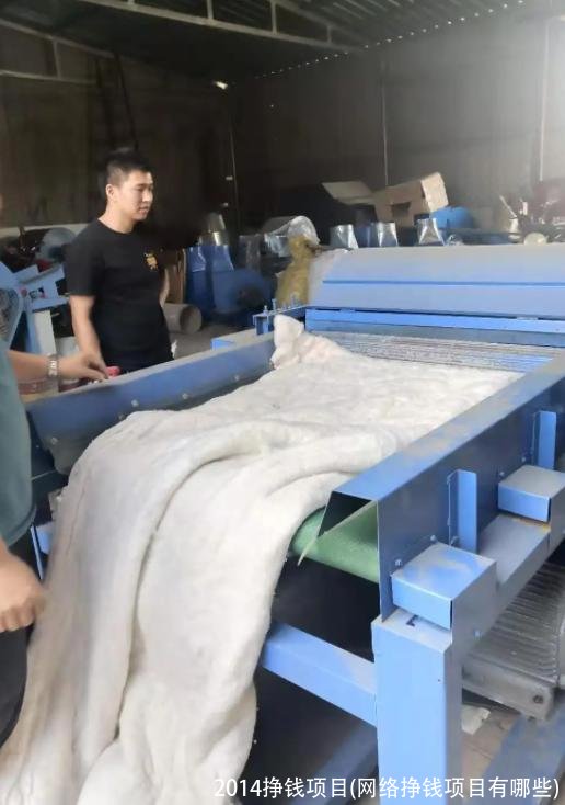 2014挣钱项目(网络挣钱项目有哪些)