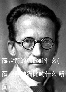 薛定谔的猫比喻什么(薛定谔的猫比喻什么 新闻)