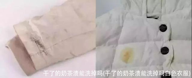 干了的奶茶渍能洗掉吗(干了的奶茶渍能洗掉吗白色衣服)