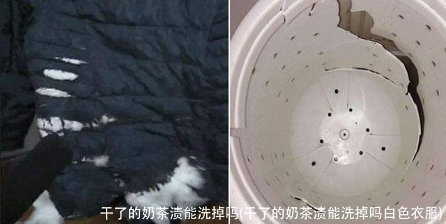 干了的奶茶渍能洗掉吗(干了的奶茶渍能洗掉吗白色衣服)