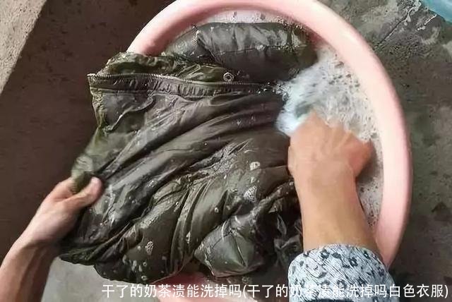 干了的奶茶渍能洗掉吗(干了的奶茶渍能洗掉吗白色衣服)