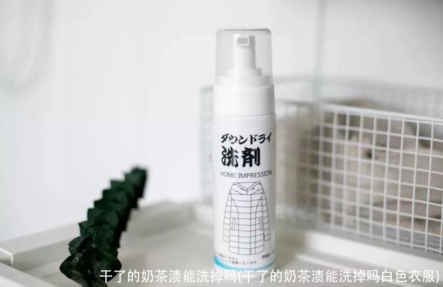 干了的奶茶渍能洗掉吗(干了的奶茶渍能洗掉吗白色衣服)