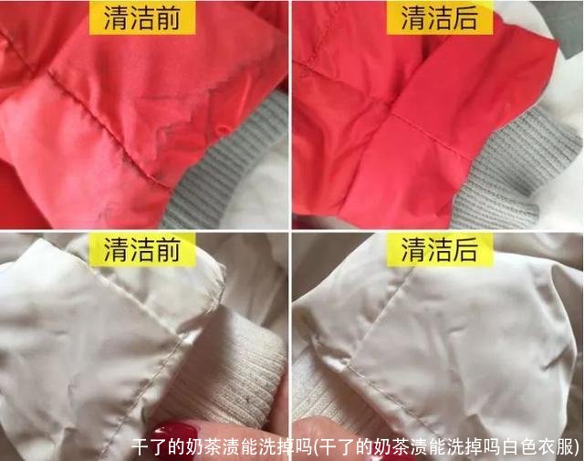 干了的奶茶渍能洗掉吗(干了的奶茶渍能洗掉吗白色衣服)