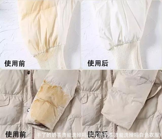 干了的奶茶渍能洗掉吗(干了的奶茶渍能洗掉吗白色衣服)