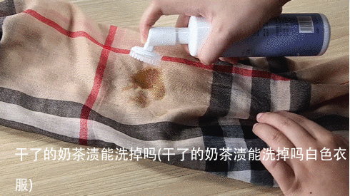 干了的奶茶渍能洗掉吗(干了的奶茶渍能洗掉吗白色衣服)