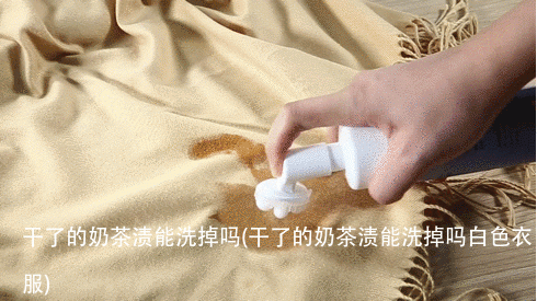 干了的奶茶渍能洗掉吗(干了的奶茶渍能洗掉吗白色衣服)