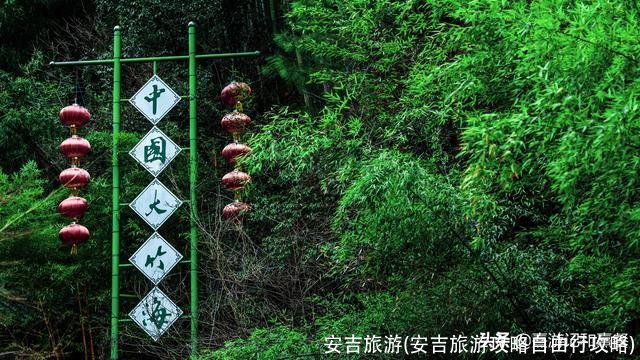 安吉旅游(安吉旅游攻略自由行攻略)