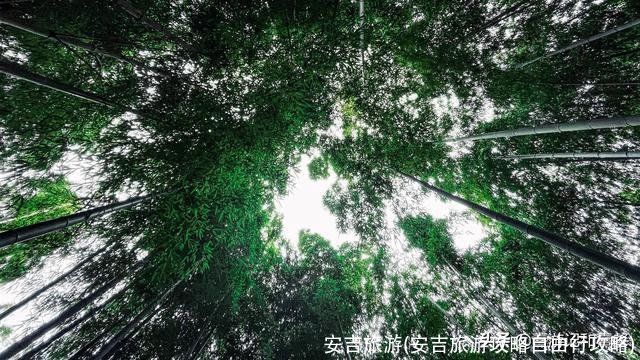 安吉旅游(安吉旅游攻略自由行攻略)