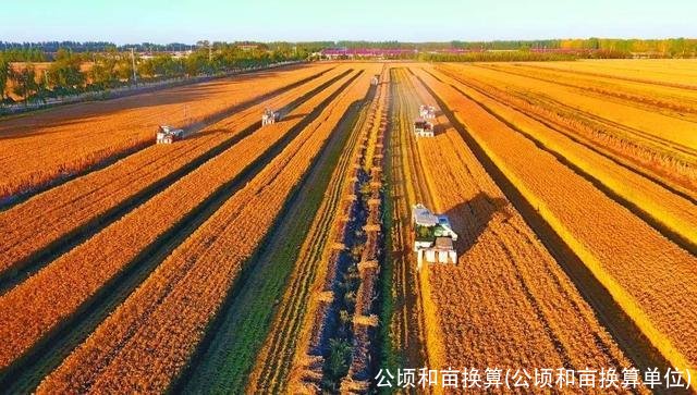 公顷和亩换算(公顷和亩换算单位)