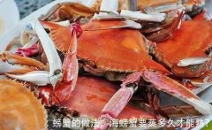 螃蟹的做法，海螃蟹要蒸多久才能熟？