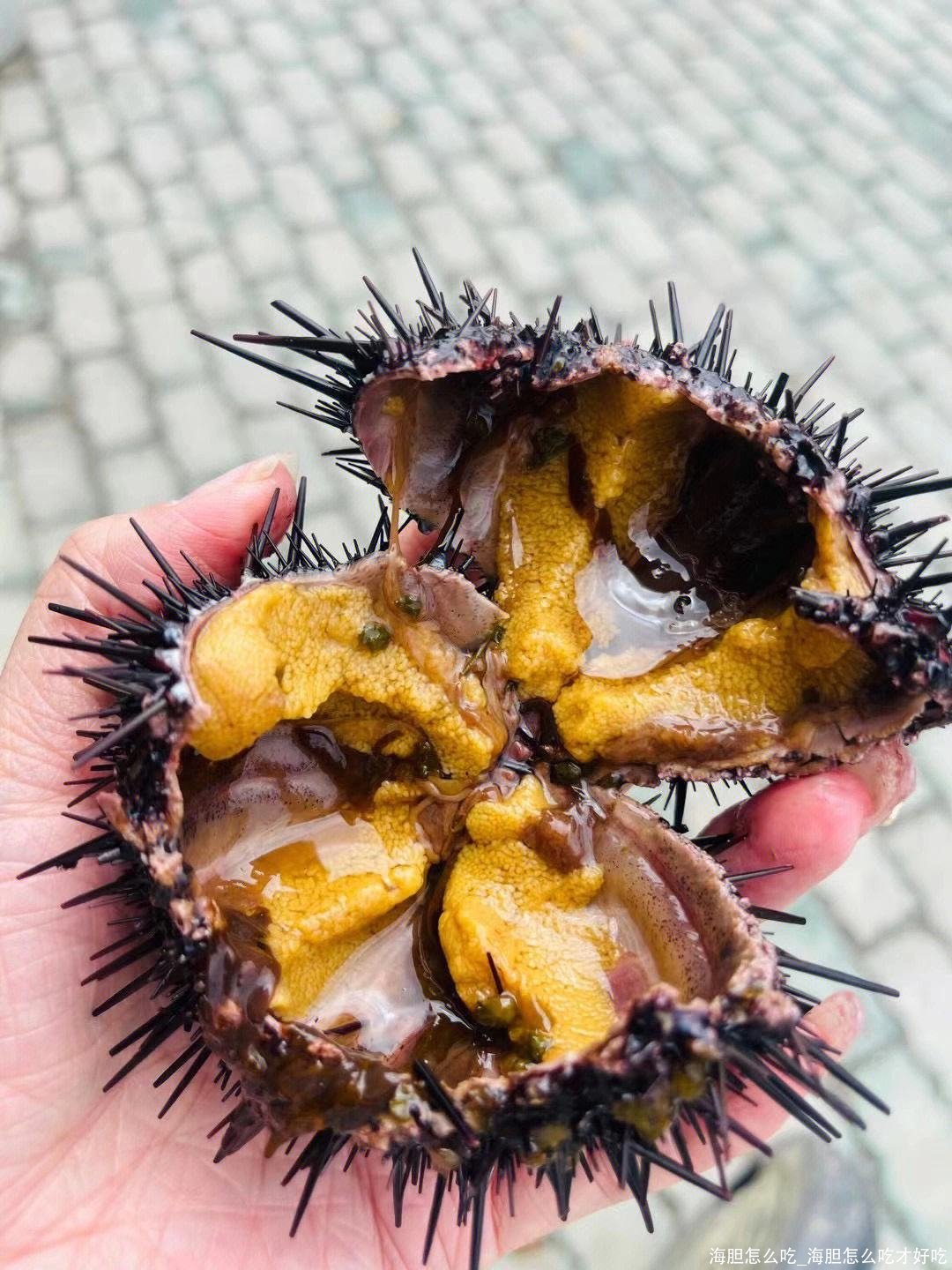 海胆怎么做才好吃