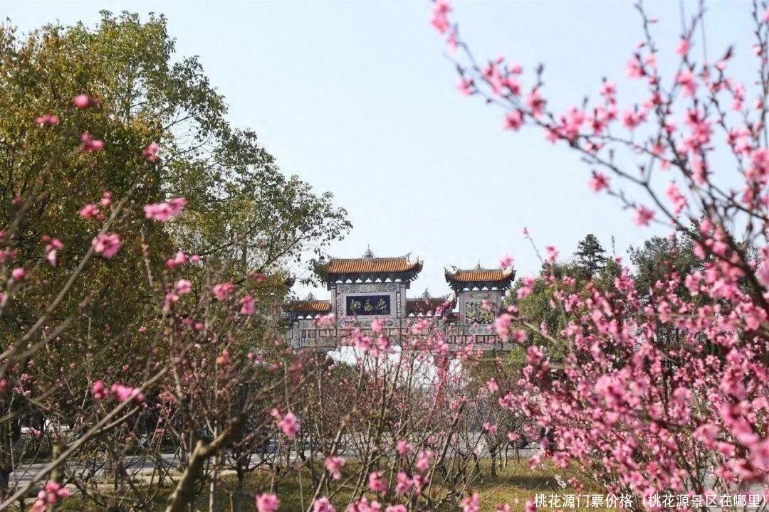 桃花源门票价格(桃花源景区在哪里)