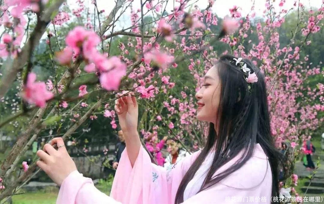 桃花源门票价格(桃花源景区在哪里)