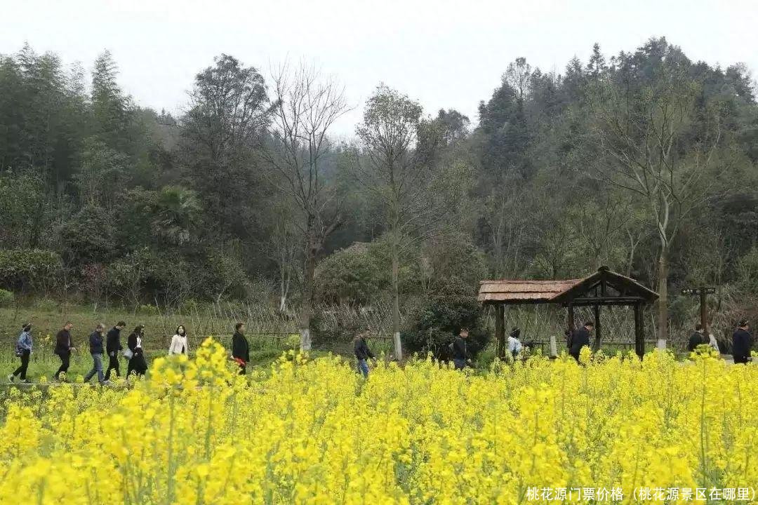 桃花源门票价格(桃花源景区在哪里)