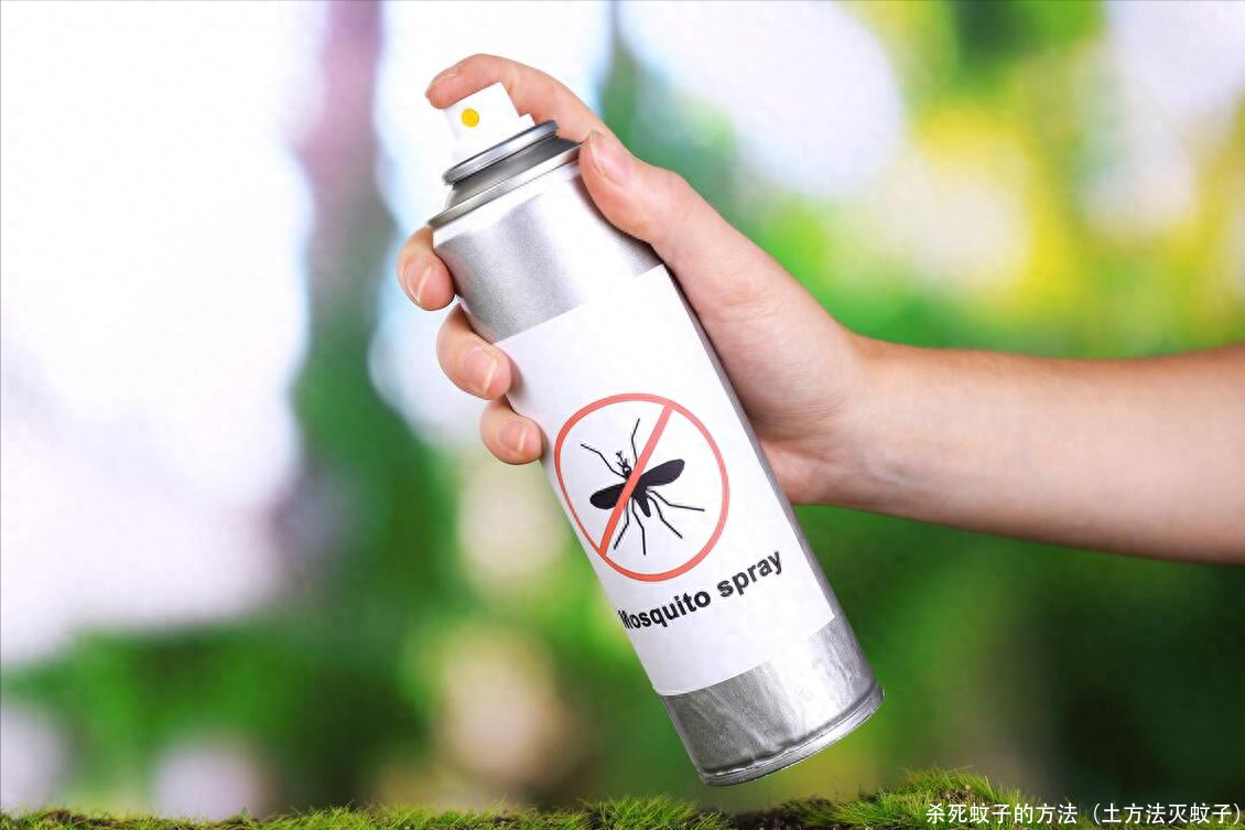 杀死蚊子的方法（土方法灭蚊子）