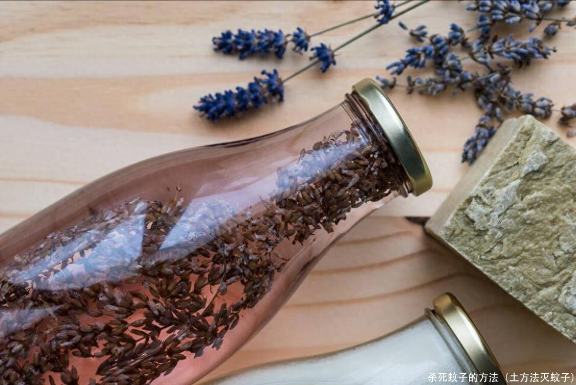 杀死蚊子的方法（土方法灭蚊子）