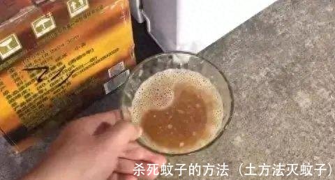 杀死蚊子的方法（土方法灭蚊子）