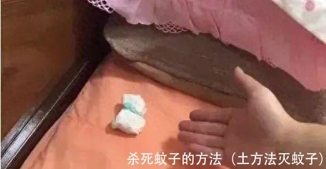 杀死蚊子的方法（土方法灭蚊子）