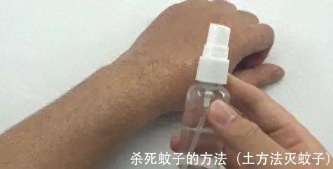 杀死蚊子的方法（土方法灭蚊子）