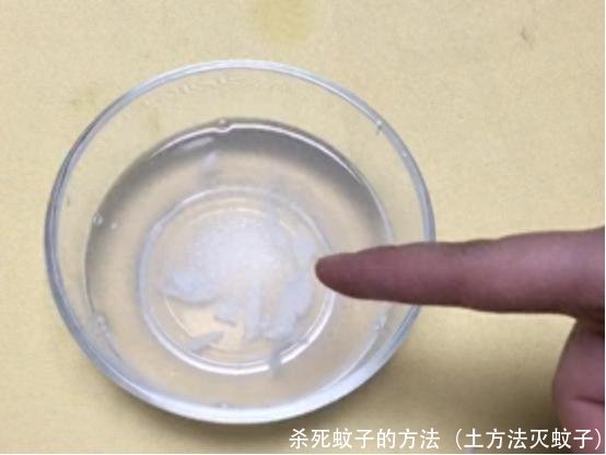 杀死蚊子的方法（土方法灭蚊子）