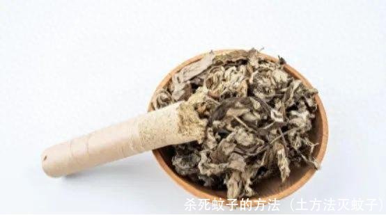 杀死蚊子的方法（土方法灭蚊子）