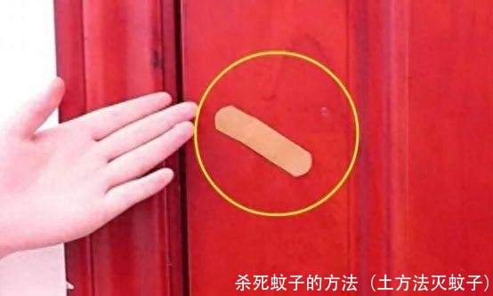 杀死蚊子的方法（土方法灭蚊子）