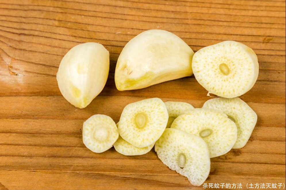 杀死蚊子的方法（土方法灭蚊子）