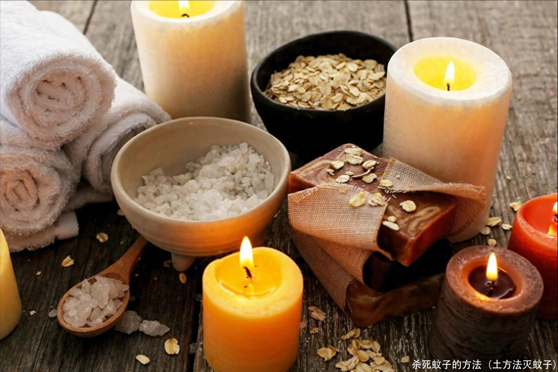 杀死蚊子的方法（土方法灭蚊子）