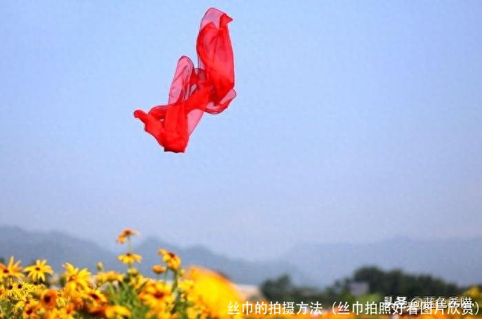 丝巾的拍摄方法(丝巾拍照好看图片欣赏)