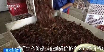 小龙虾什么价格(小龙虾价格今天市场价格)