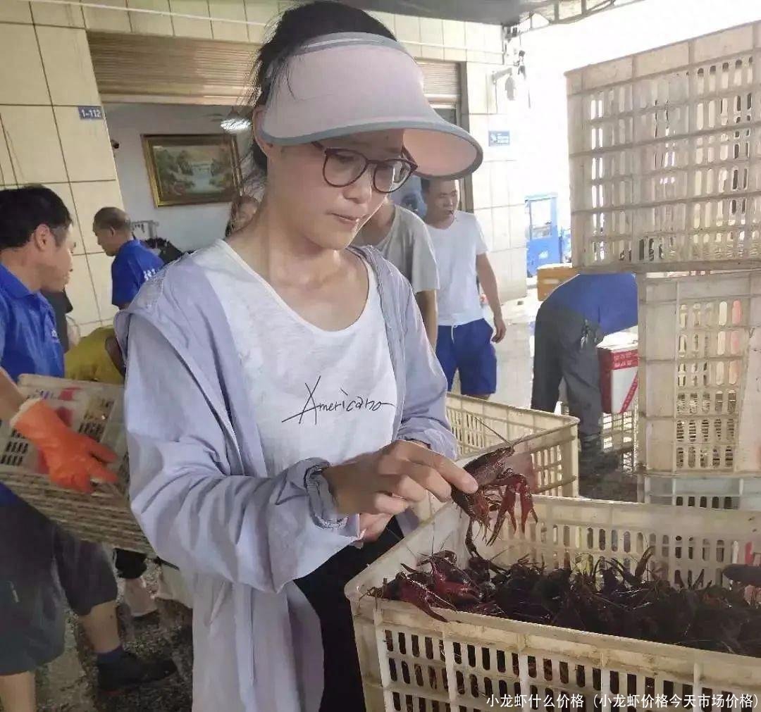 小龙虾什么价格(小龙虾价格今天市场价格)