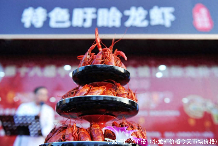 小龙虾什么价格(小龙虾价格今天市场价格)