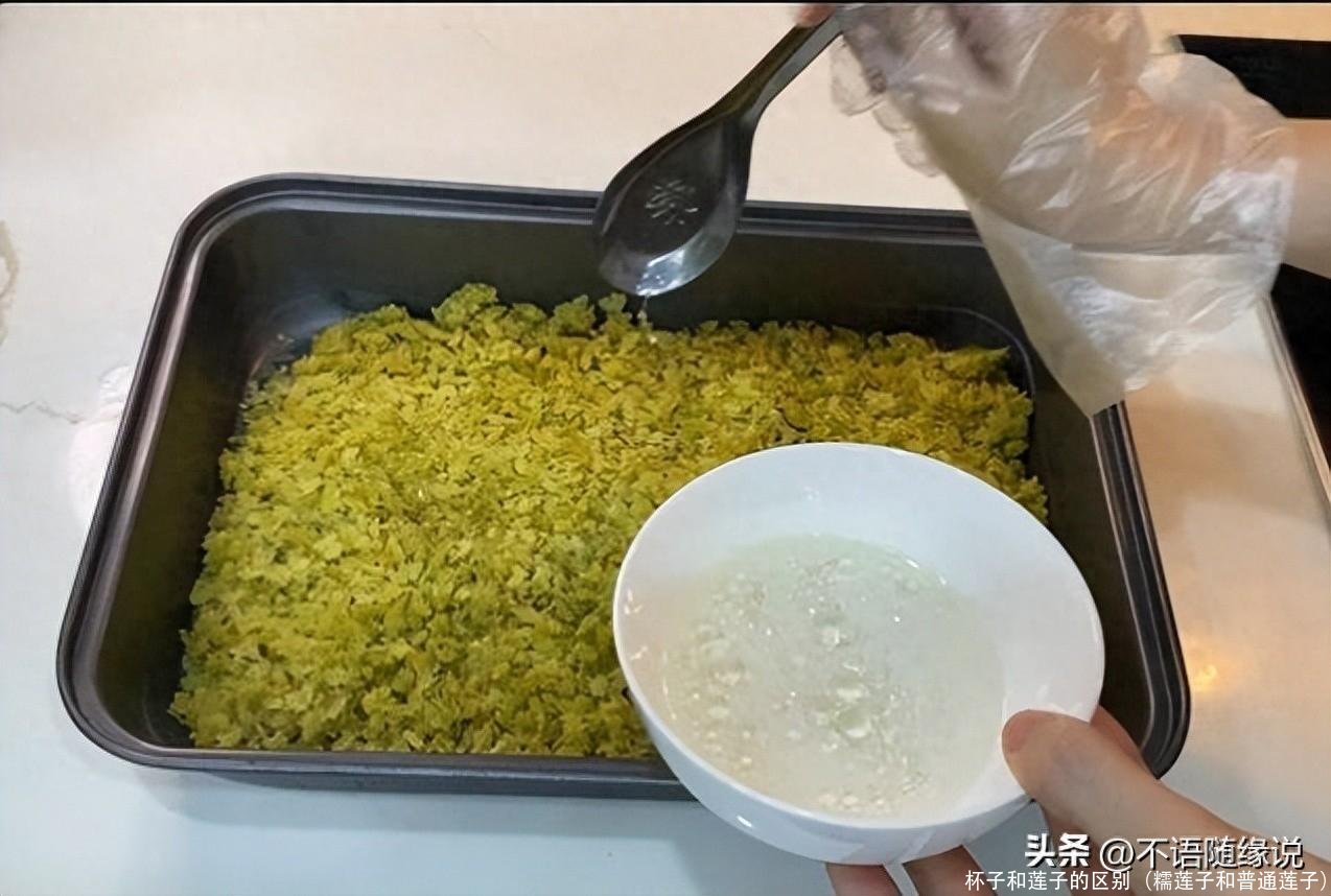杯子和莲子的区别(糯莲子和普通莲子)