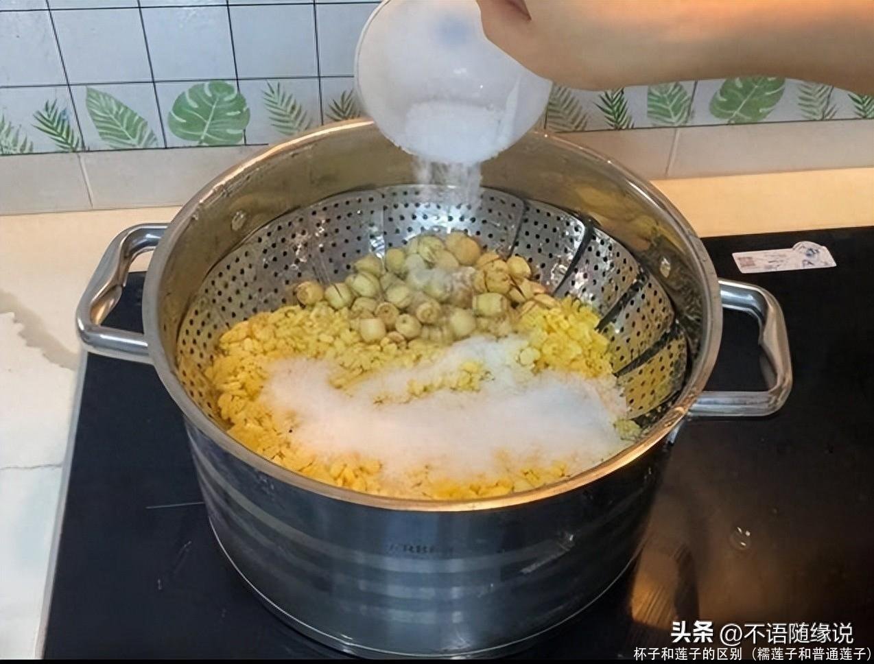 杯子和莲子的区别(糯莲子和普通莲子)