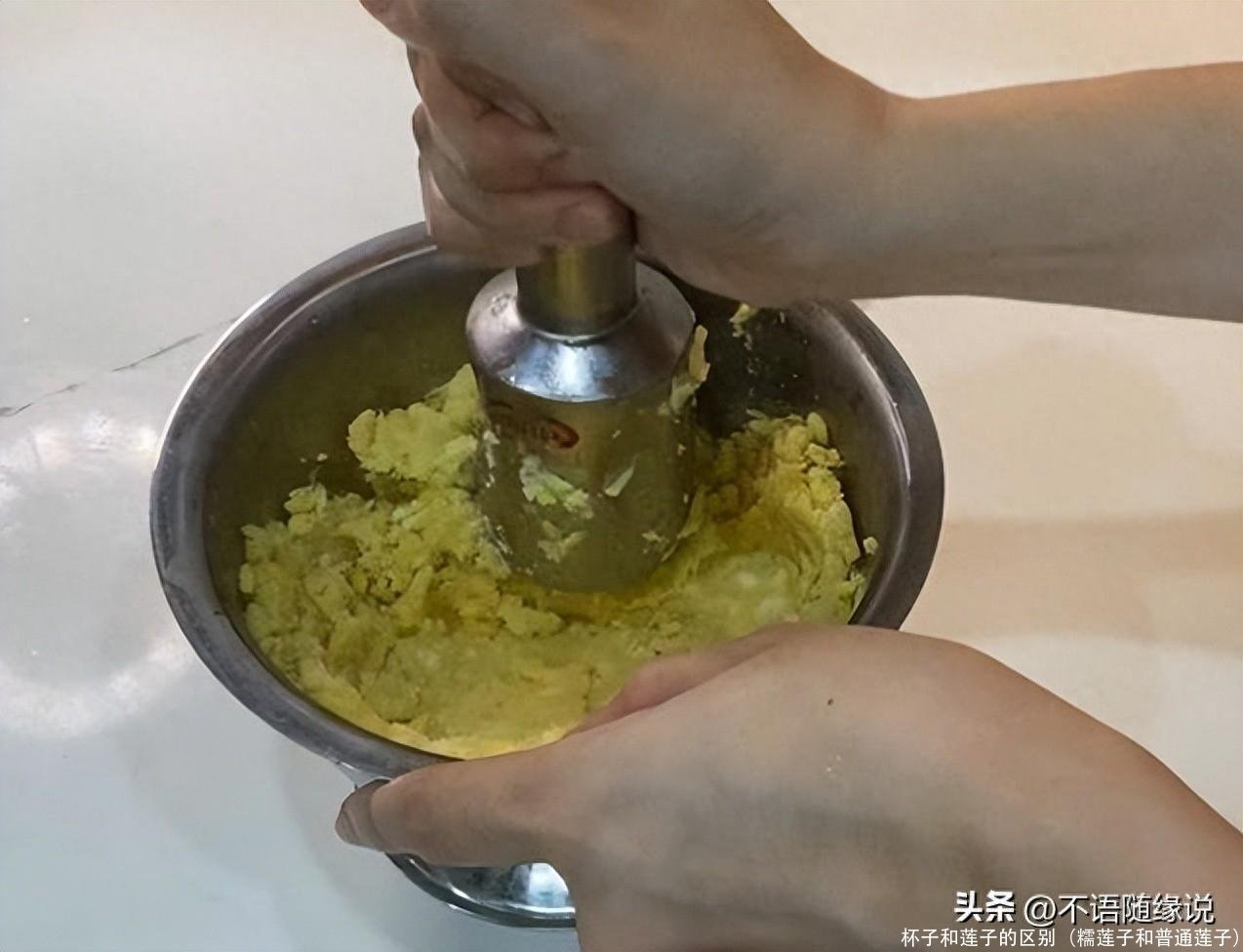 杯子和莲子的区别(糯莲子和普通莲子)