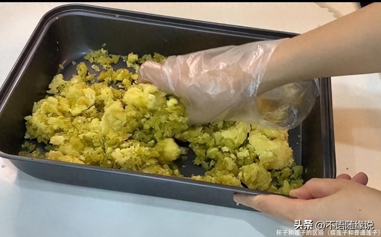 杯子和莲子的区别(糯莲子和普通莲子)