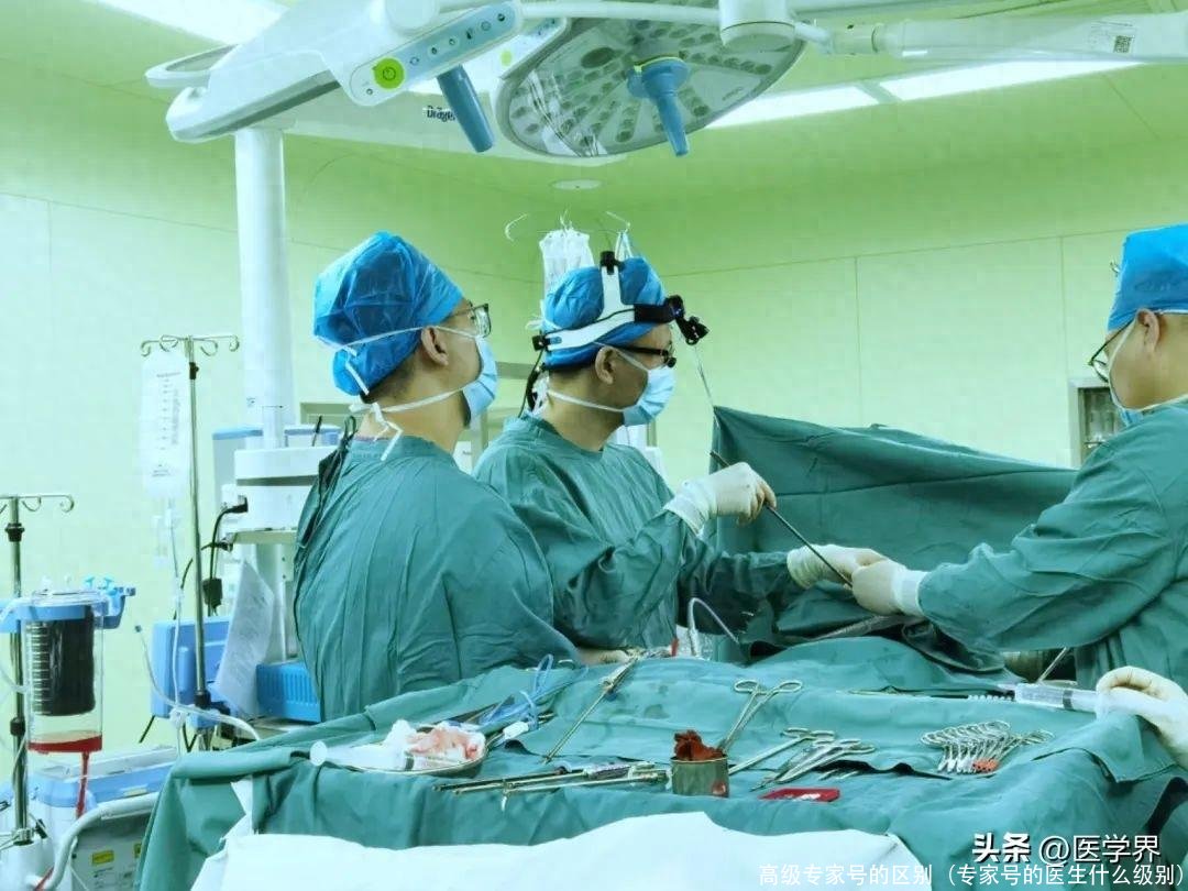 高级专家号的区别(专家号的医生什么级别)