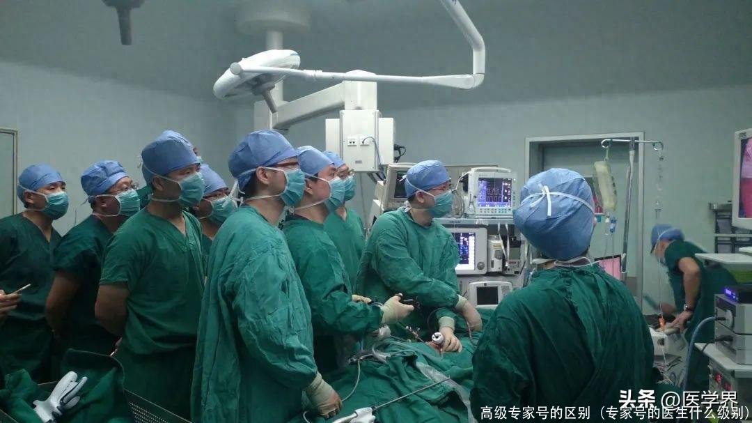 高级专家号的区别(专家号的医生什么级别)