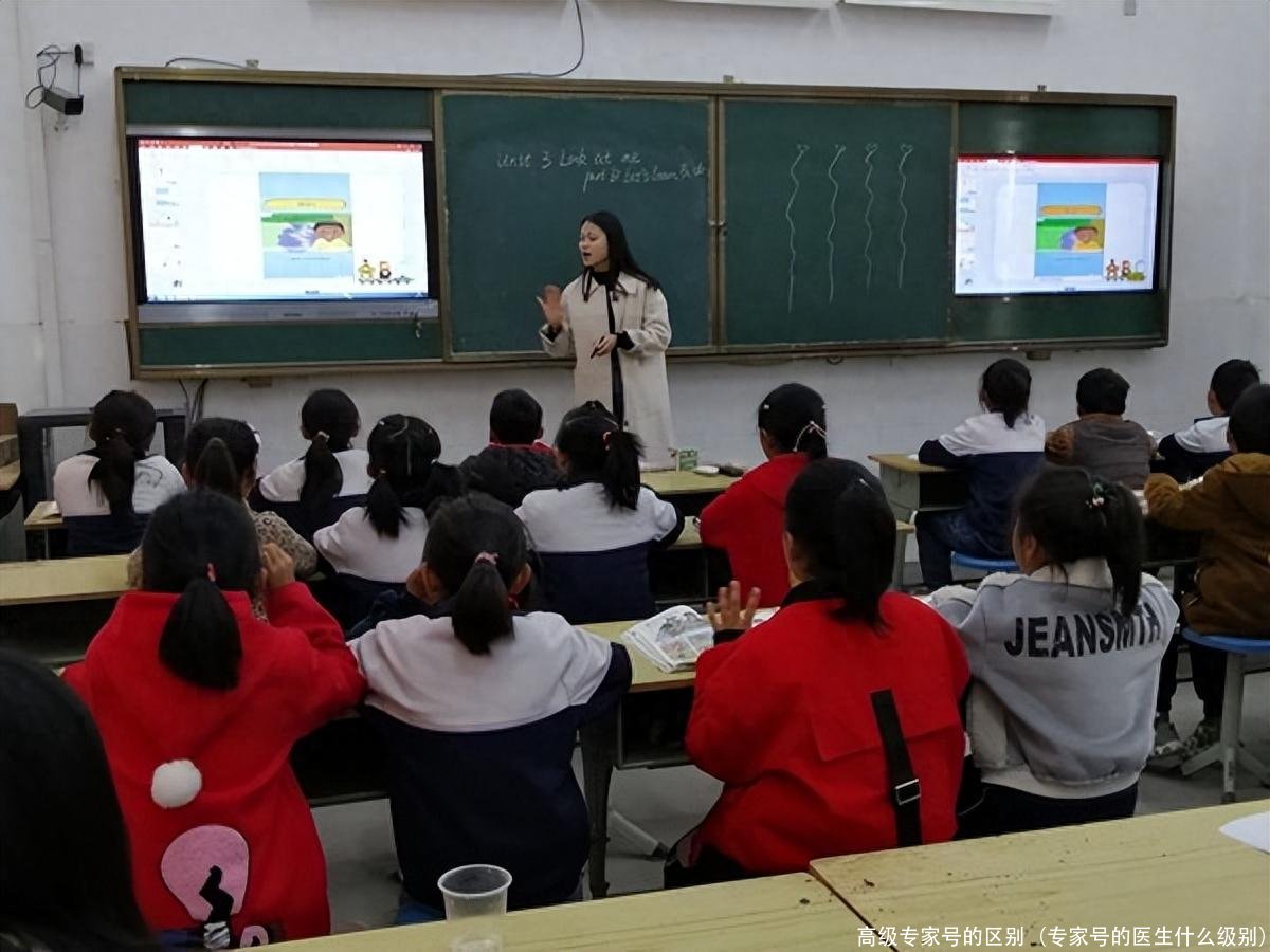 高级专家号的区别(专家号的医生什么级别)