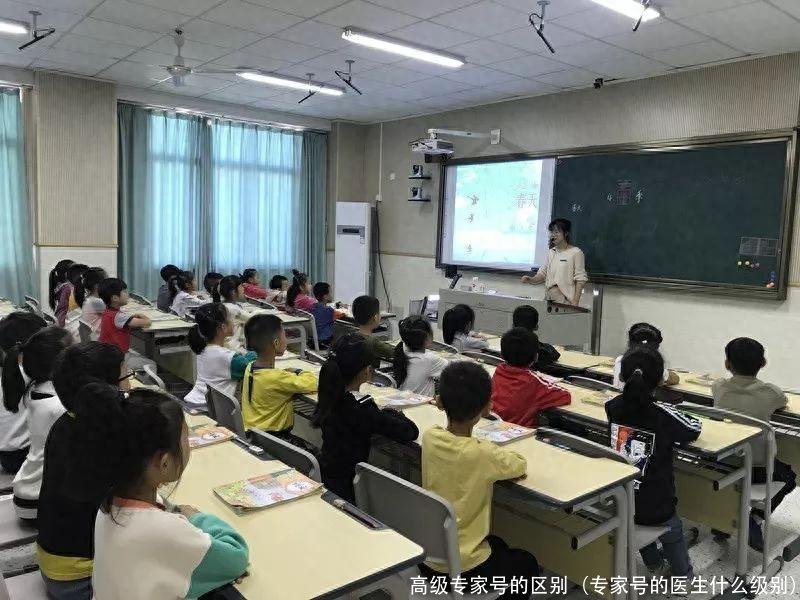 高级专家号的区别(专家号的医生什么级别)