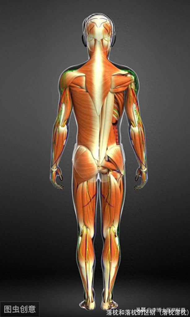 落枕和落枕的区别（落枕落枕）