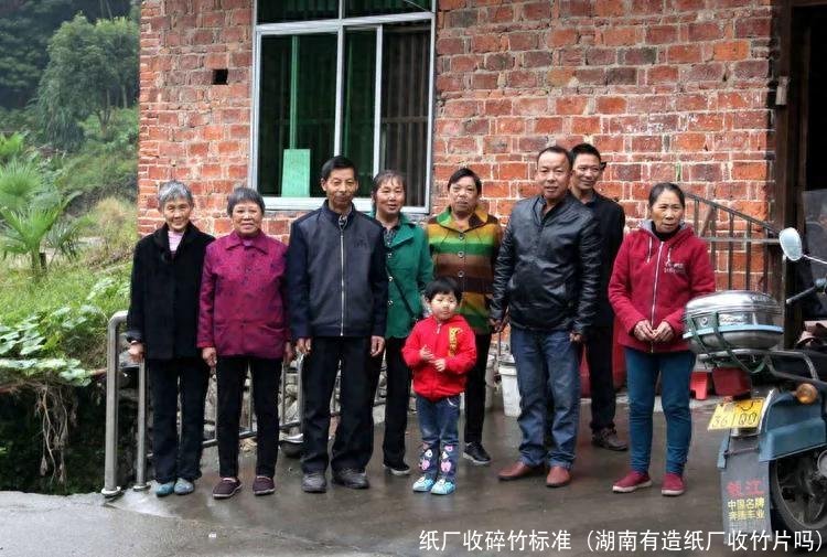 纸厂收碎竹标准(湖南有造纸厂收竹片吗)